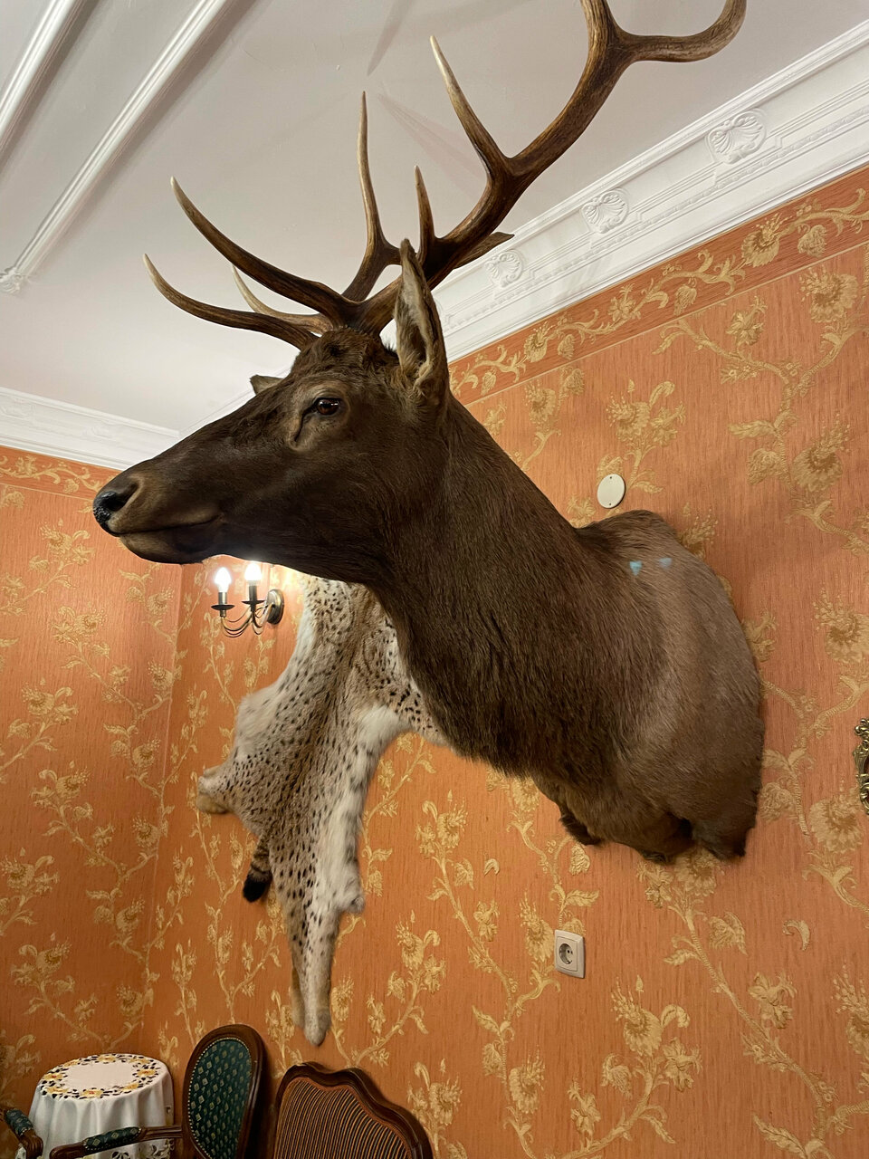 Отель Купеческий Красноярск