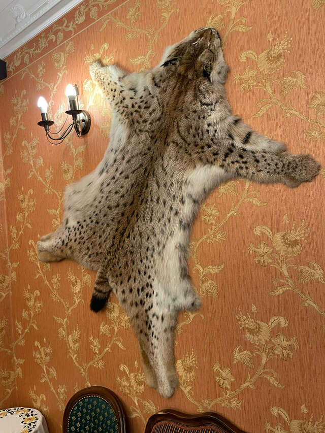 Отель Купеческий Красноярск-191