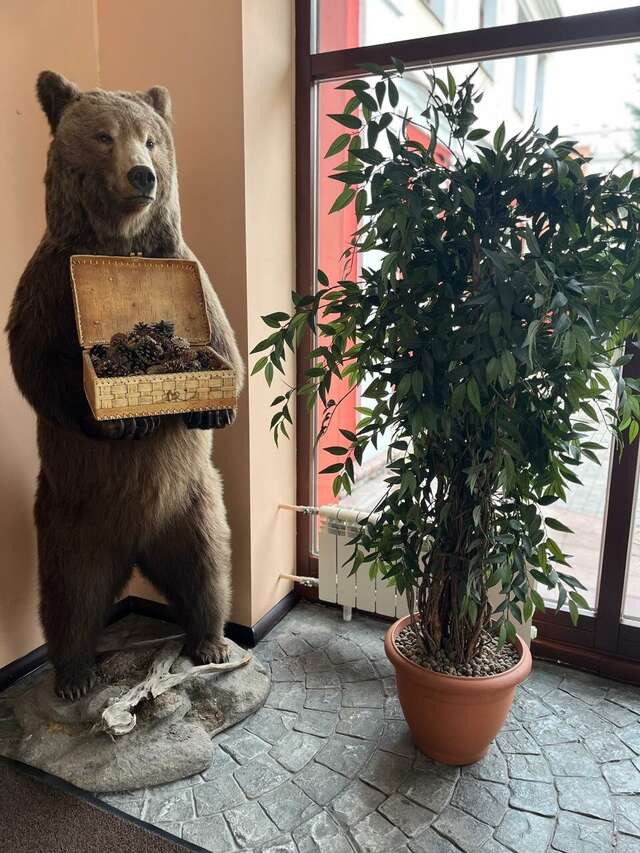 Отель Купеческий Красноярск-241