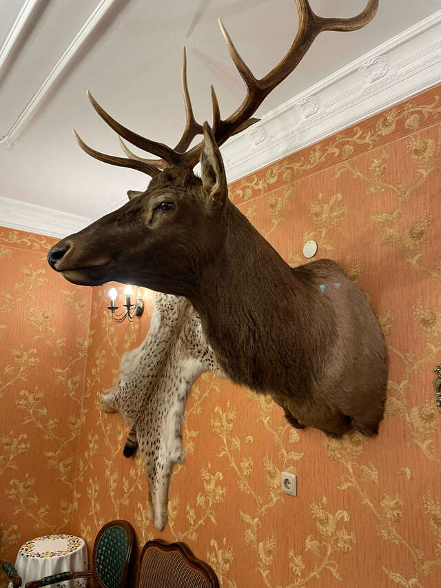 Отель Купеческий Красноярск-195