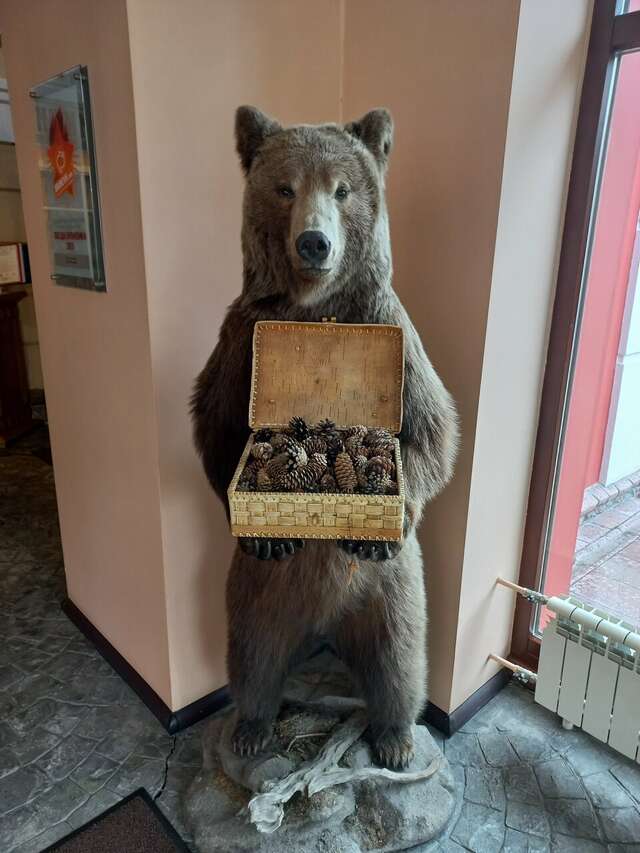 Отель Купеческий Красноярск-206